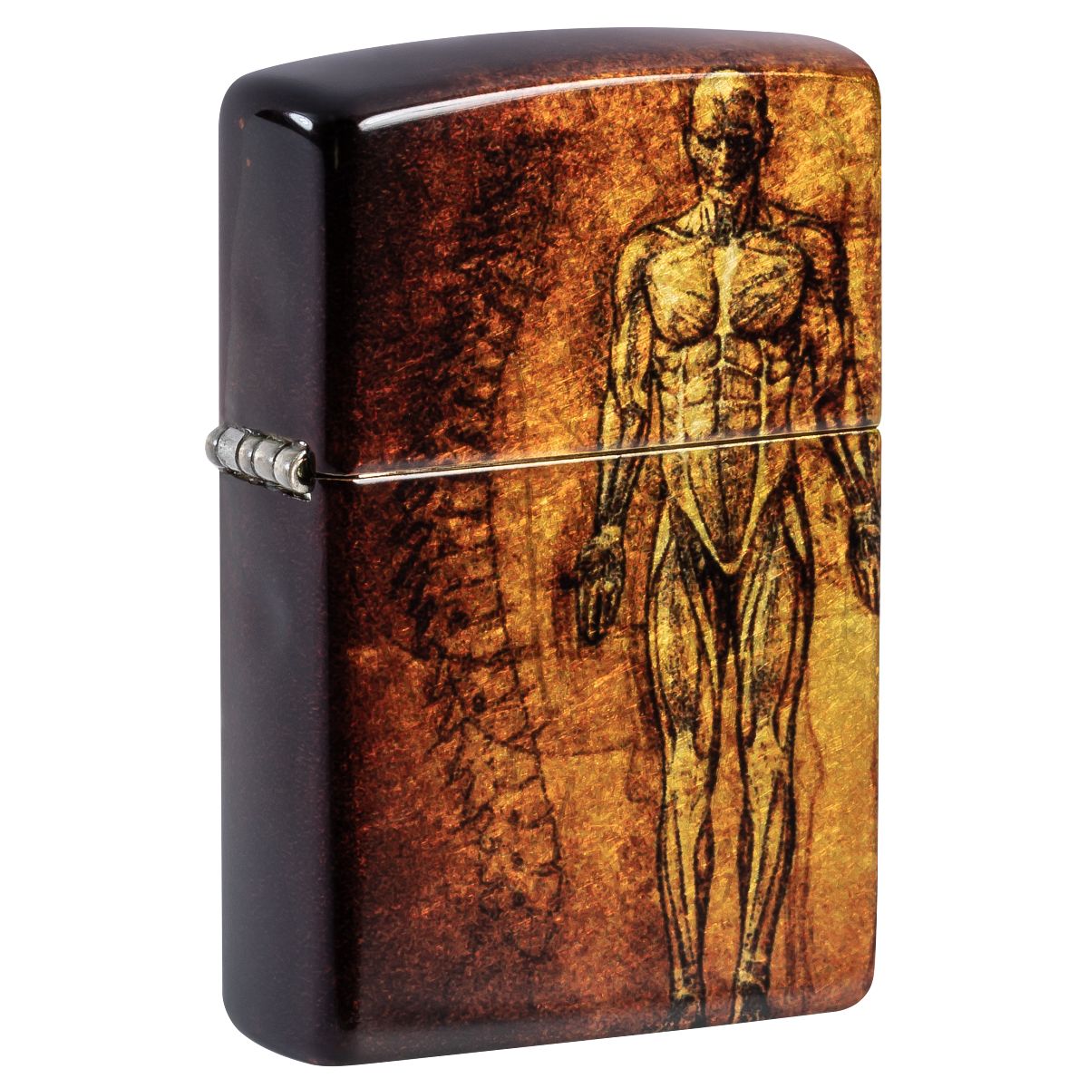 Zippo Lighter: Human Anatomy - 540 Fusion 46329