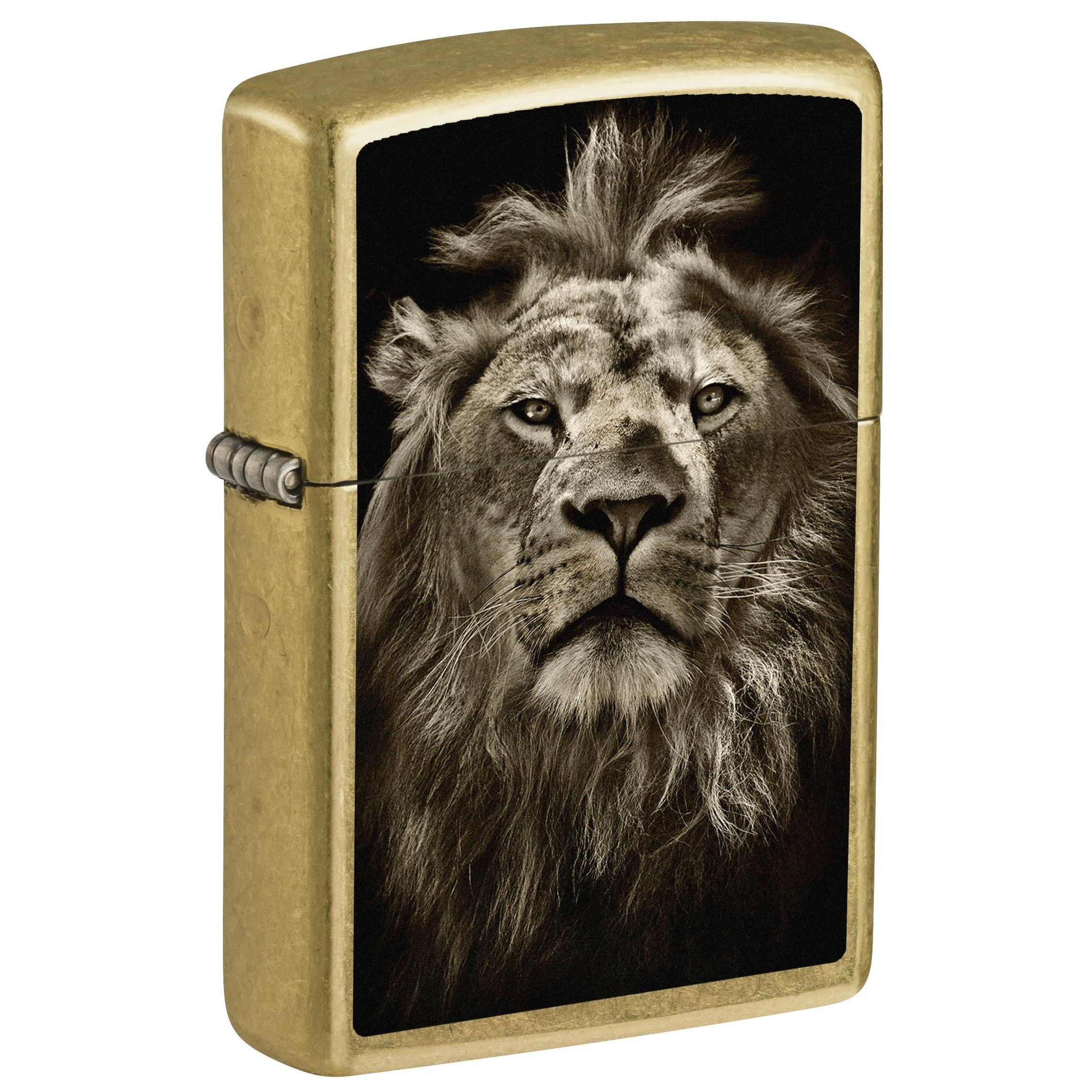Zippo Lighter: Lion Eyes - Street Brass 81726